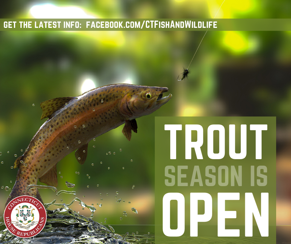 State Rep. Greg Howard: Trout Fishing Season Opens Early