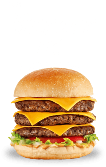 Burger_Story_Fan_Page_Img11